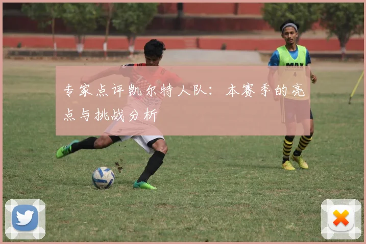 专家点评凯尔特人队：本赛季的亮点与挑战分析