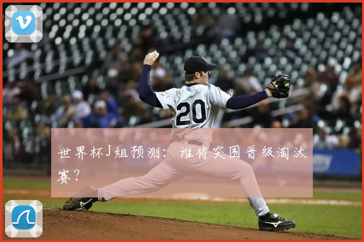 世界杯J组预测：谁将突围晋级淘汰赛？