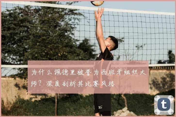 为什么佩德里被誉为西班牙组织大师？深度剖析其比赛风格