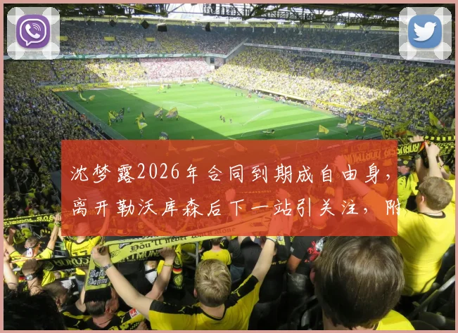 沈梦露2026年合同到期成自由身，离开勒沃库森后下一站引关注，附女足球员转会市场分析